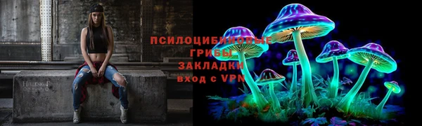 тгк Алексин