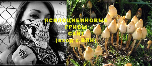 соль курить ск Алзамай