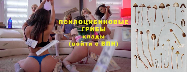 прущий лед Алексеевка