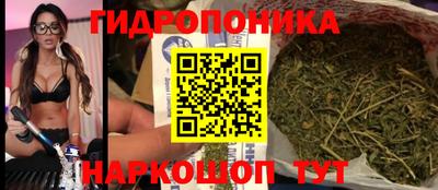 амф Обь