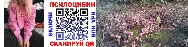 Галлюциногенные грибы Psilocybine cubensis Чусовой
